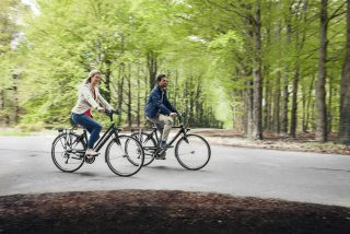 Radfahren in Winsen Touren entlang der Elbe